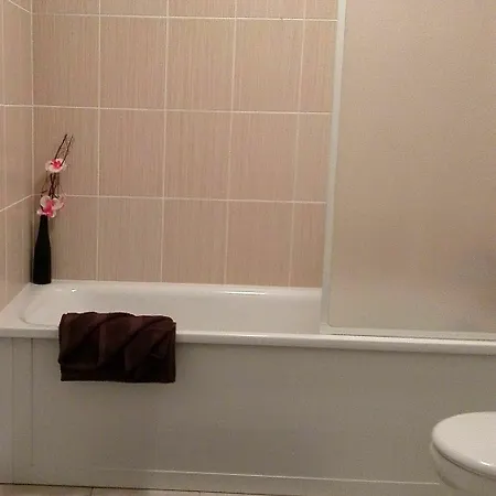 ホリデーパーク Le Domaine De Melody Santa-Maria-Poggio